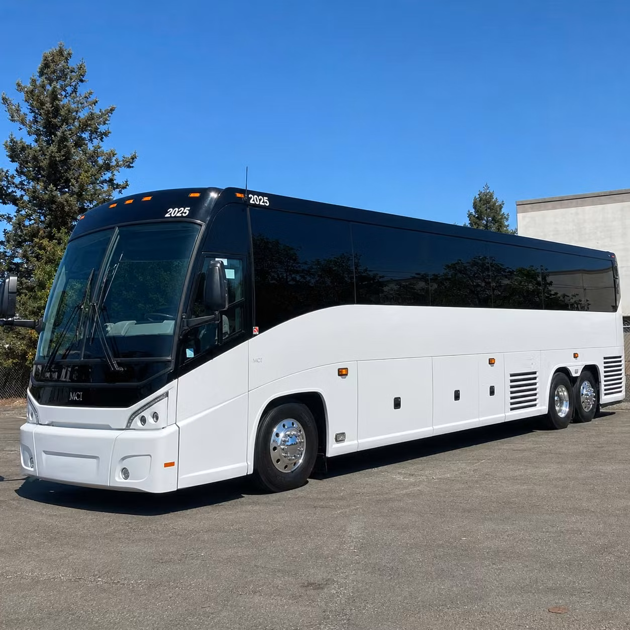 56 passenger charter bus